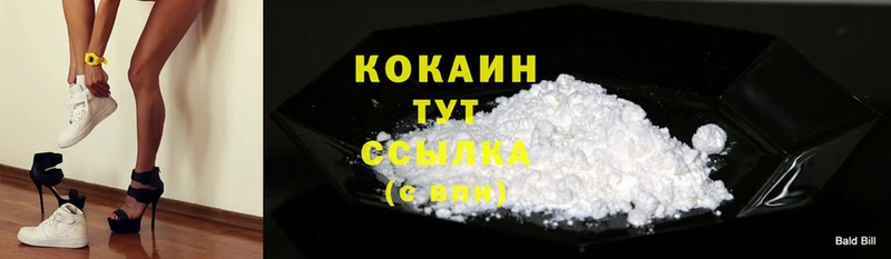 КОКАИН Fish Scale  закладка  Зубцов 