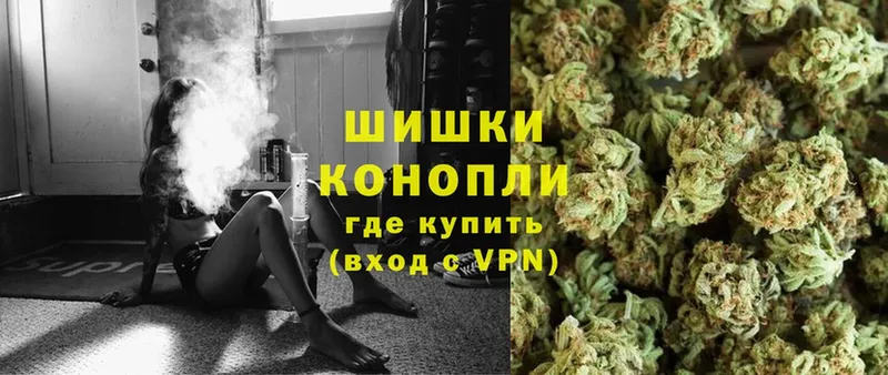 купить наркоту  Зубцов  мега ONION  Конопля White Widow 